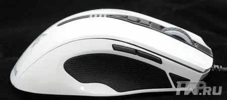 EpicGear Gekkota