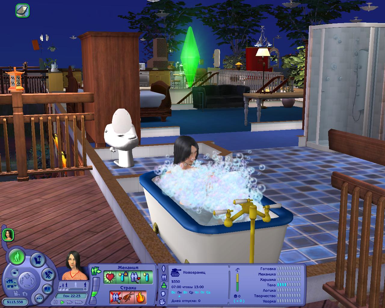 Sims 2   